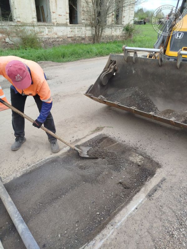 #свод_за_сутки #весенне_летнее_содержание