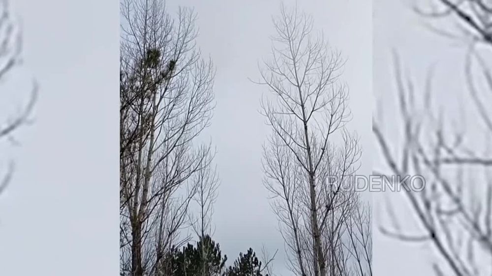  :   -10̻ 38-          -     