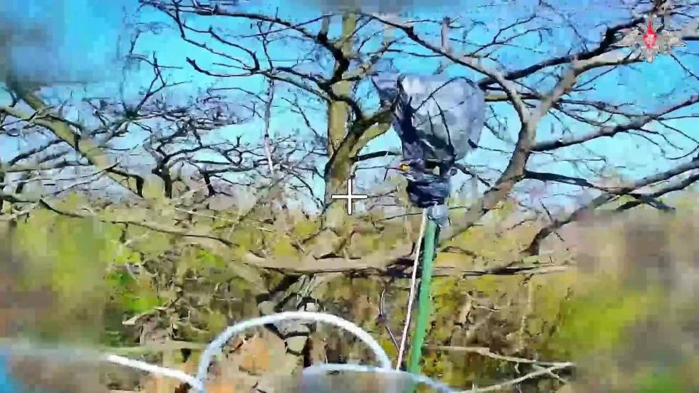 Минобороны России: Дроноводы уничтожают позиции, бронетехнику и скопления личного состава противника