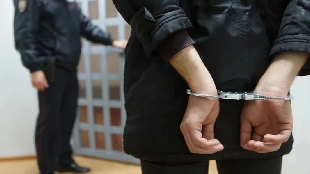 В Пскове таможенники нашли у пассажирки из Латвии игрушки с наркотиками внутри