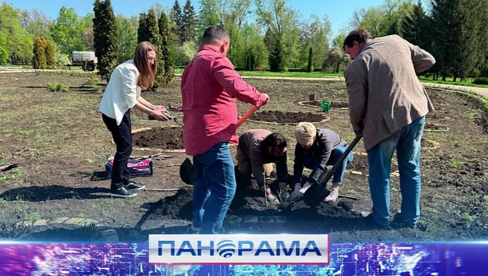 Три новых сорта роз: Донецкий ботанический сад пополняет коллекцию розария