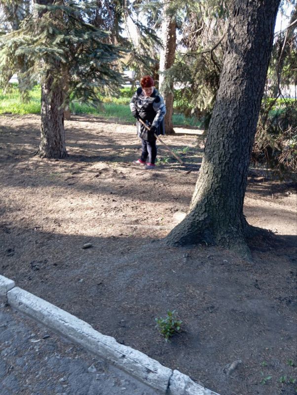 Юрий Будрин: Сегодня, 24 апреля 2025 года, в рамках проекта «Городская среда», реализуемого Всероссийской политической партией Единая Россия сотрудники "Школа искусств № 7 г. Донецка", ГБОУ "Школа № 80 г. о. Донецк" и ГКДОУ...