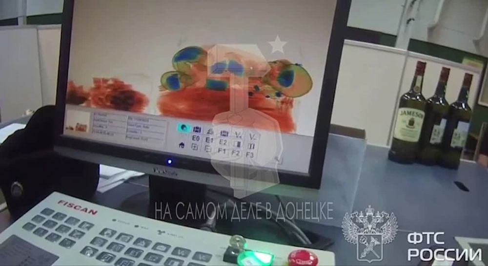 Женщина пыталась привезти в ДНР начиненные метадоном игрушки из Латвии