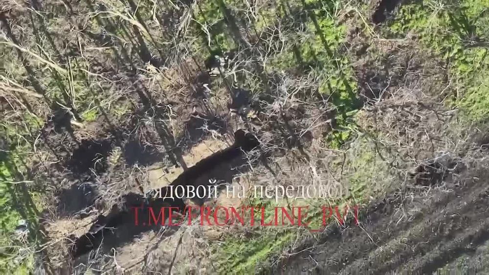 Операторы FPV-дронов из группировки войск «Восток» предотвратили доставку боеприпасов ВСУ на Южно-Донецком направлении