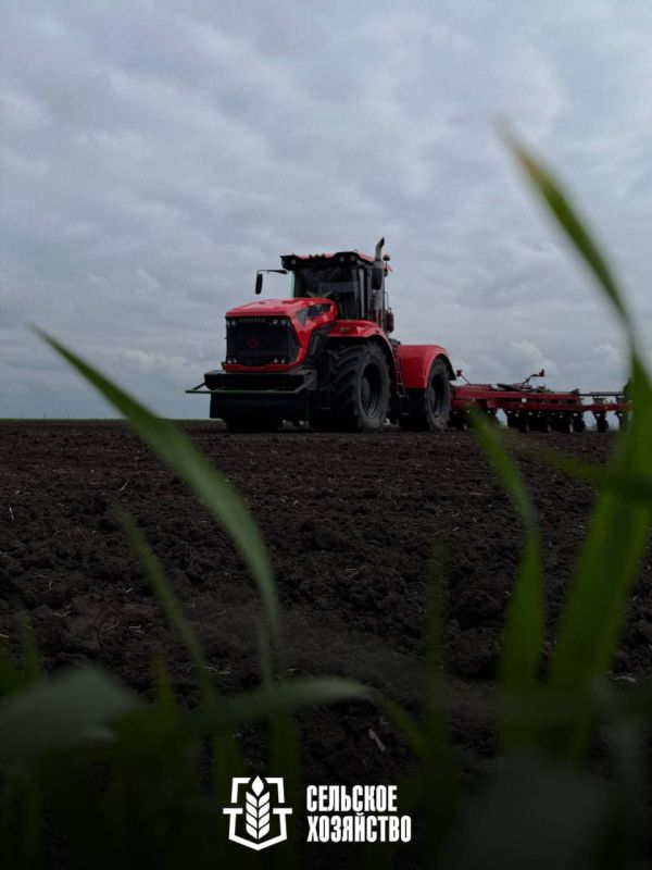 В ДНР уже выполнено 90% плана по севу ранних яровых культур