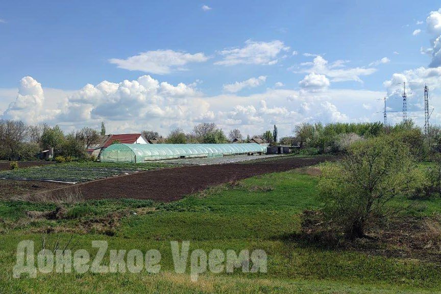 Организовали полив: в Харцызске предприимчивые дельцы качают воду насосом из пруда