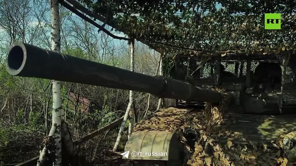 � 23 ���� ��� ���� ������ �������� � ����� ��� ���������