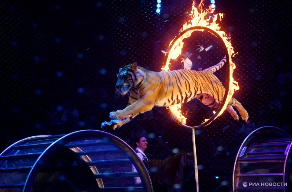 В Донецке прошла премьера шоу братьев Запашных