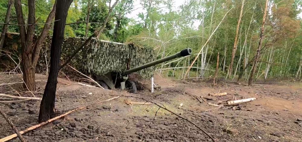 Группировка «Центр» улучшила тактическое положение в ДНР