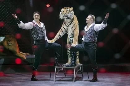 В Донецке начались гастроли большого московского цирка