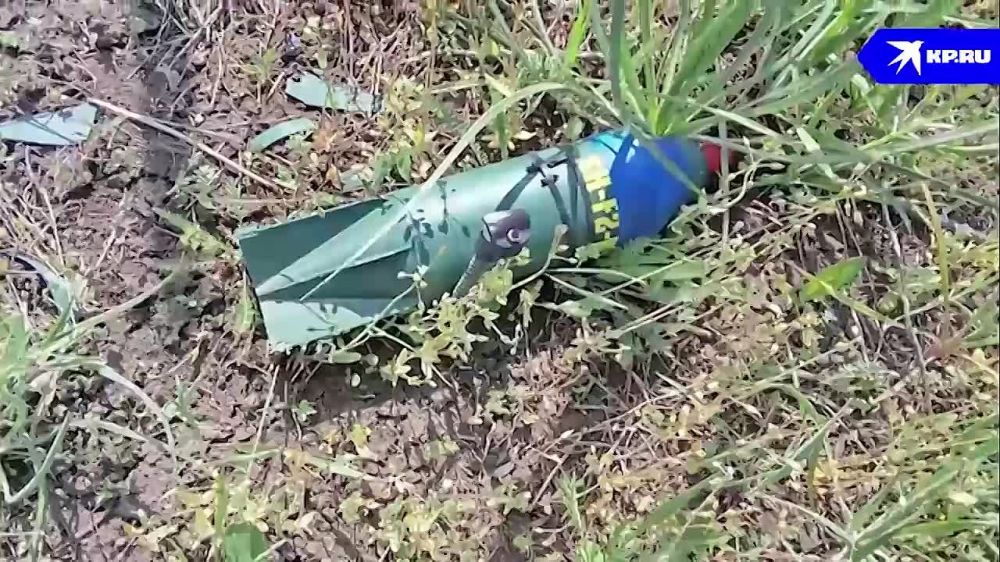 «Купол Донбасса» за неделю сорвал 258 атак украинских БПЛА на ДНР