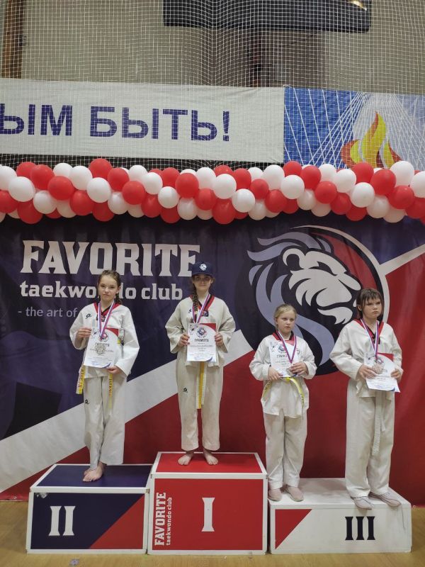 Команда тхэквондистов из Донецкой Народной Республики успешно выступила на соревнованиях 26-27 апреля в Ростове-на-Дону