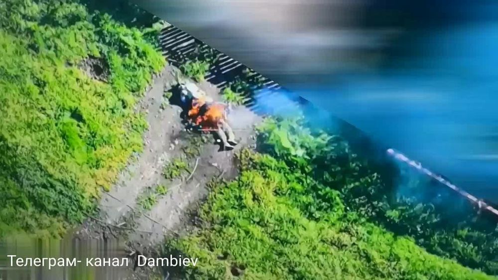  :   &quot;&quot;    ,   ,      - 