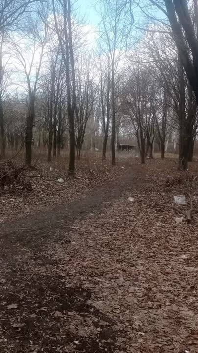 Виктория Мельникова: Дончане выбирают, какой будет столица ДНР уже завтра