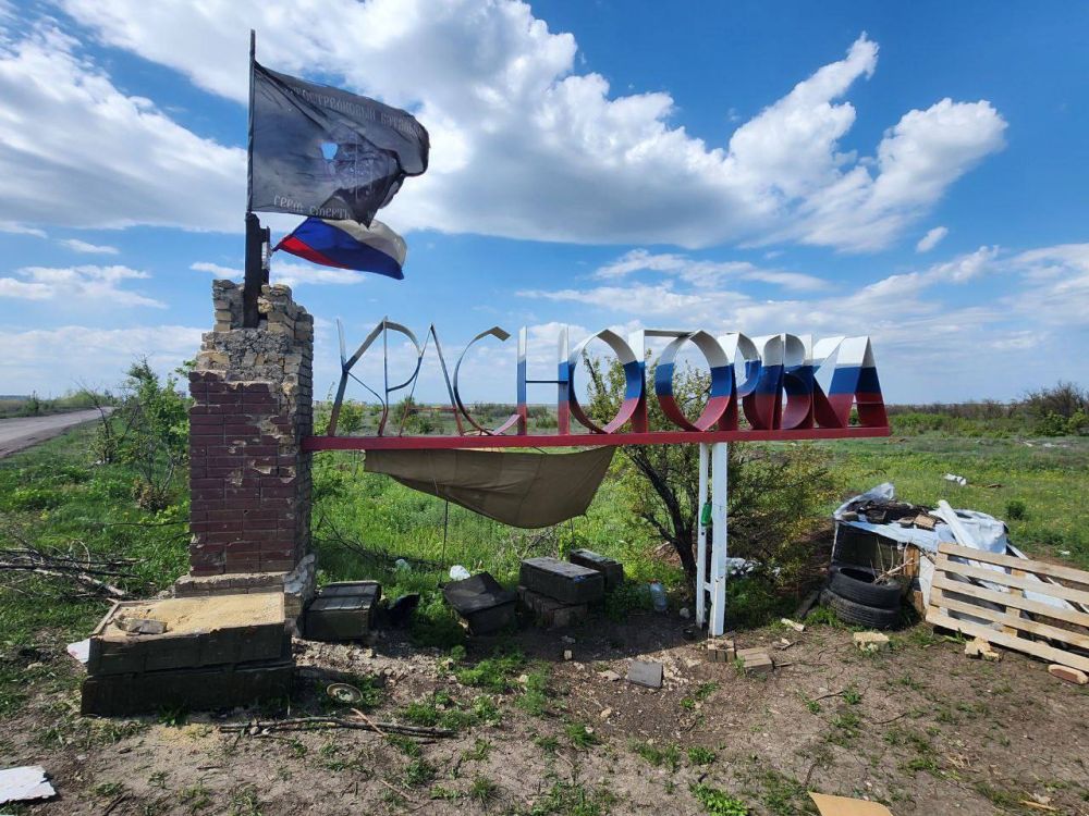 Сергей Прокопенко: В этот день вместе депутатами Народного Совета Донецкой Народной Республики Мариной Каплянок, Дмитрием Диким, Евгением Белашевым, Максимом Швецом и Денисом Машковым привезли в Красногоровку помощь в виде...