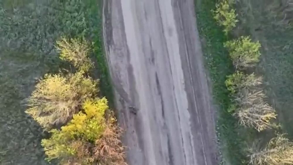  :  -    &quot;&quot;          -