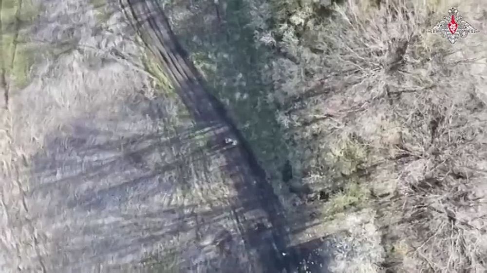 �������� �����: ����� - ����!. ������� ����� ���������� ��������� ����� ����� �������� �������� ����������