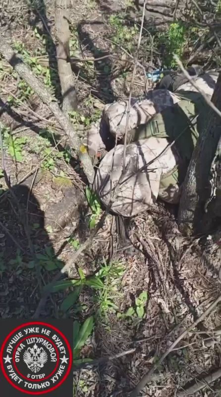  :   &quot;&quot;    ,   ,      - 