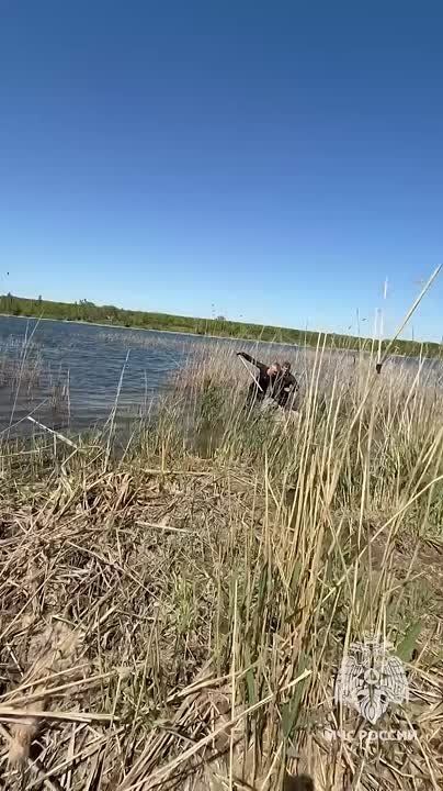 ���������� ��� ������ �������� ������ �� �������� ����