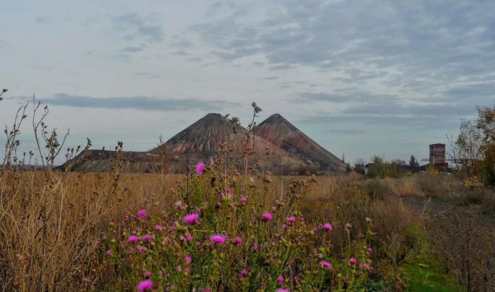 ���������� �������: �������� �������� ���������� �������� ������������ ��������� �����������