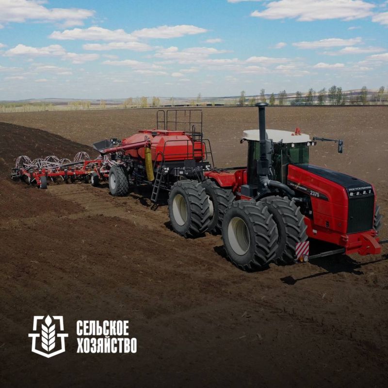 Есть районы-рекордсмены: в ДНР завершается посевная ранних культур