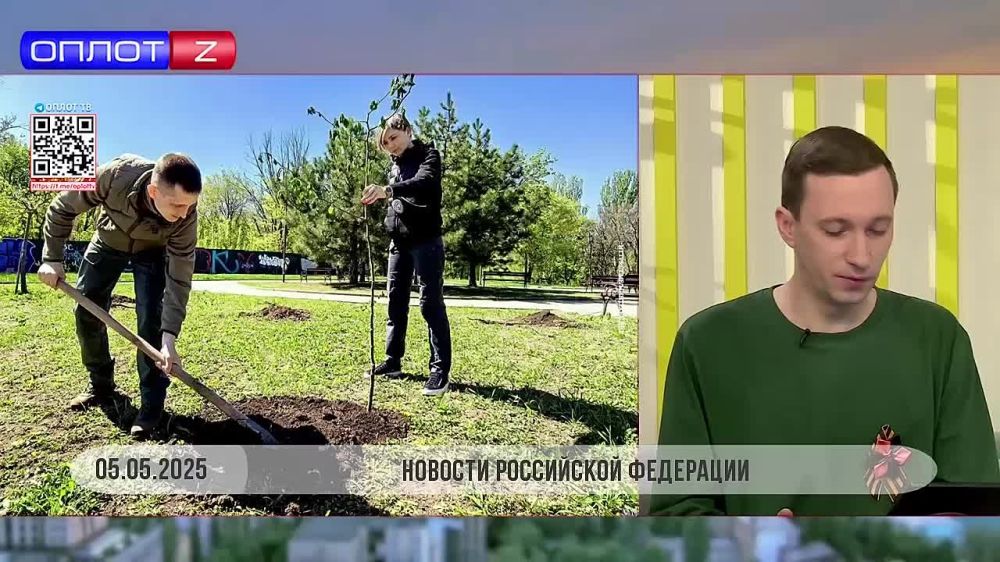 В парке Победы высажен липовый сад