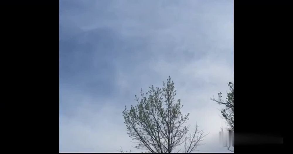  :     &quot;&quot;           - 