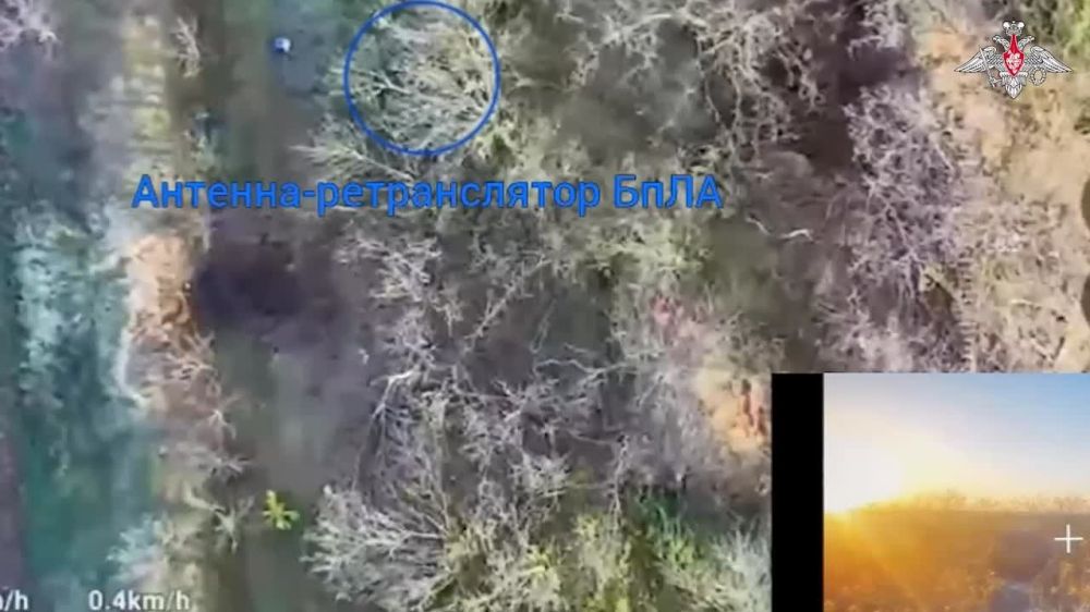 ���������� ������: ������� FPV-������ ����������� ������� ���������� ������ ���������� ���� ���������� �� ����-�������� �����������