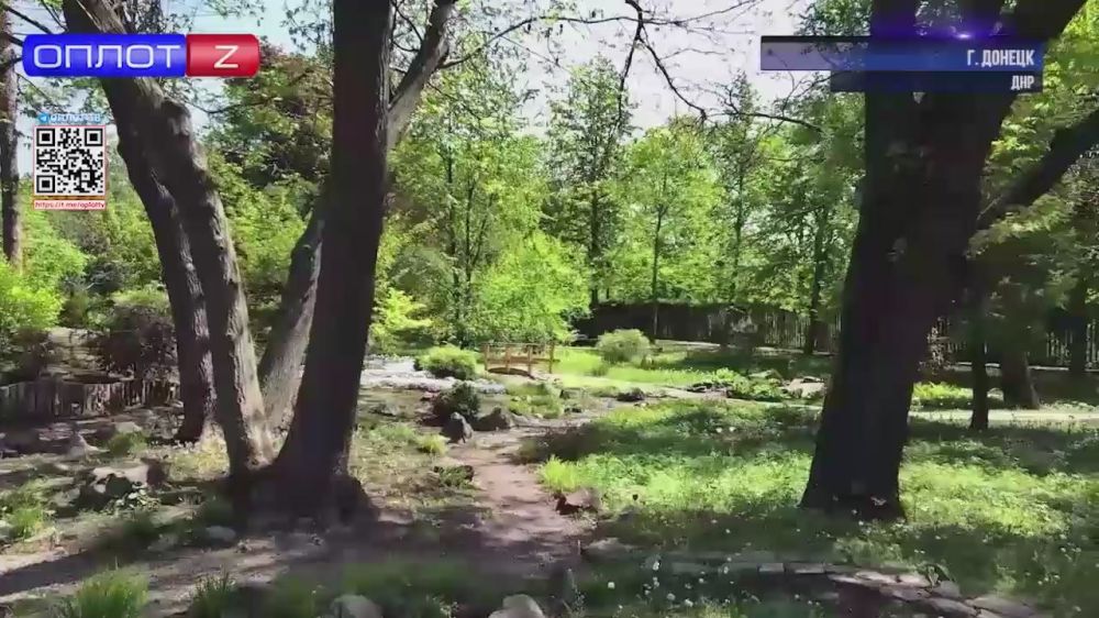 Ход восстановления Донецкого ботанического сада проинспектировал Глава Денис Пушилин