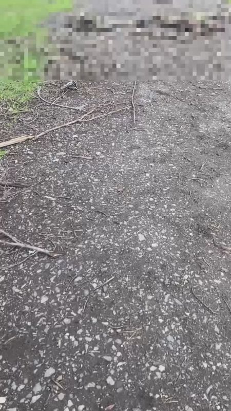 Чингис Дамбиев: Уничтоженные на Южно-Донецком направлении боевики украинских формирований