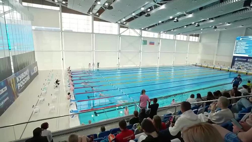 Акулы на Дальнем Востоке. В Южно–Сахалинске завершился II этап Кубка России по плаванию