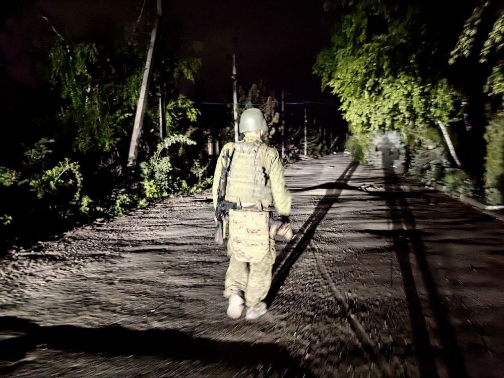 Анна Долгарева: Весенний Донецк полон цветов и разномастных флагов - триколоры, республиканские, советские, флаги подразделений