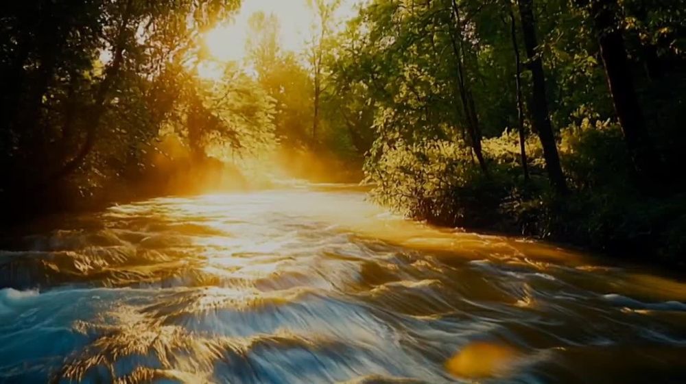 Валентин Левченко: Весна сорок пятого. Май приходит с тёплым ветром