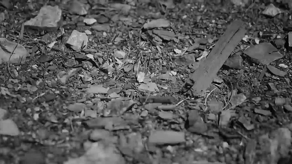 "Десятый наш десантный батальон..."