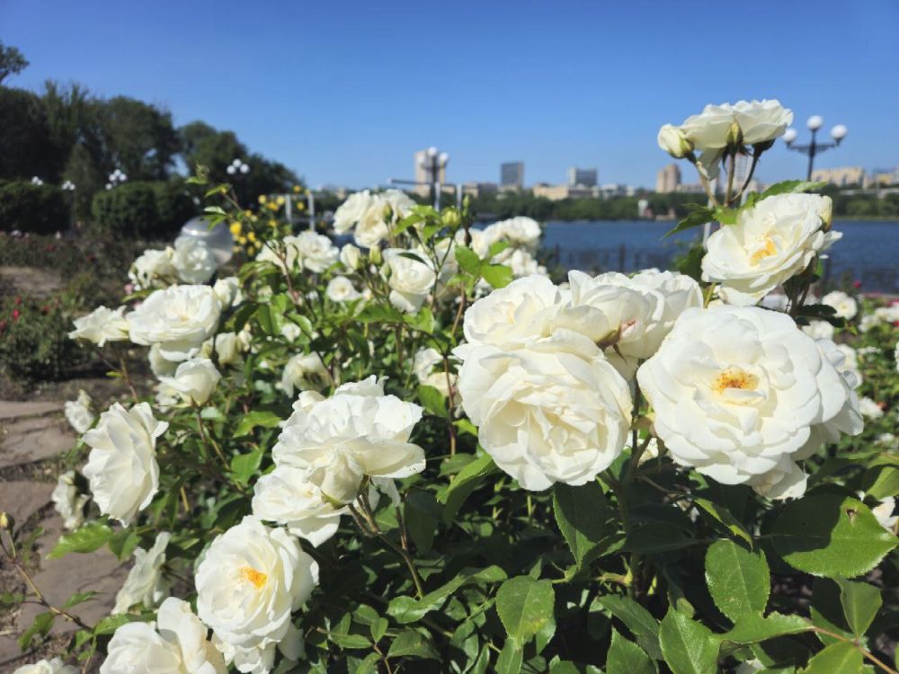 Три знаковых места Донецка вошли в топ-30 достопримечательностей РФ