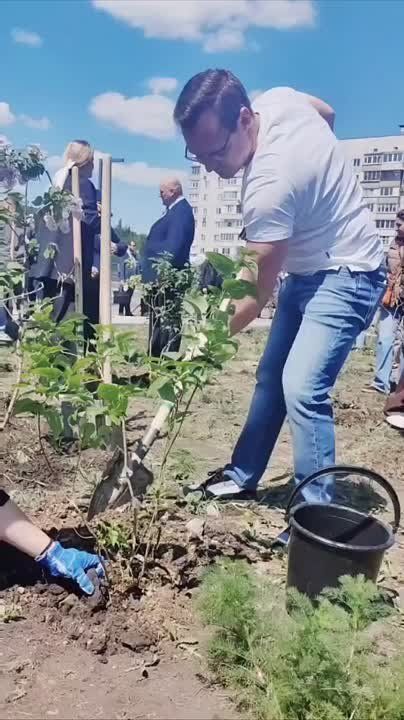 Сегодня в перинатальном центре города Донецка прошла акция "Сирень Донбасса"