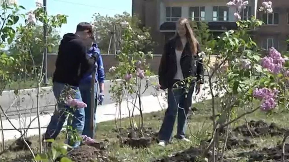 ����� �������: � ���� ���������� �������� ��������� ��� �� ���������� ��������� ���������������� �������������� ������