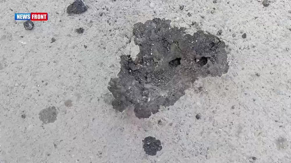 Алексей Гавриш: Сегодня, 11 мая отмечается день рождения Донецкой Народной Республики