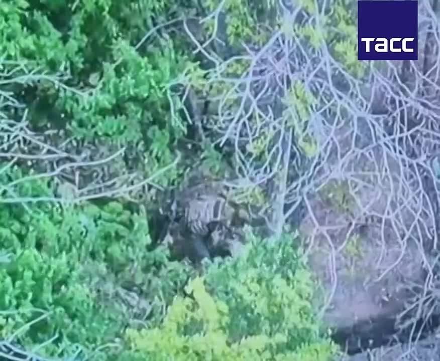 ������ �������: �� ����-�������� ����������� ������� � ���� 10 ������ 23-� ���������������� ������� ���