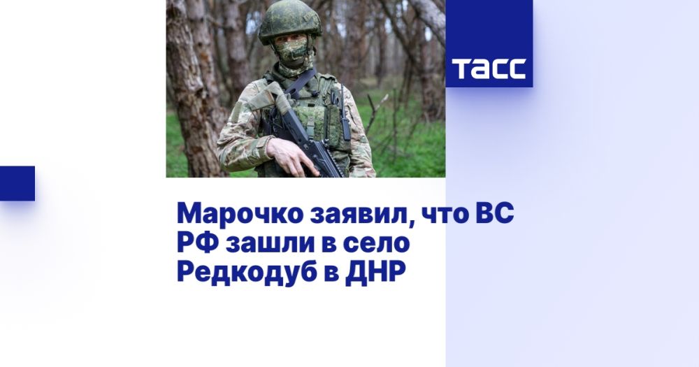 Марочко заявил, что ВС РФ зашли в село Редкодуб в ДНР