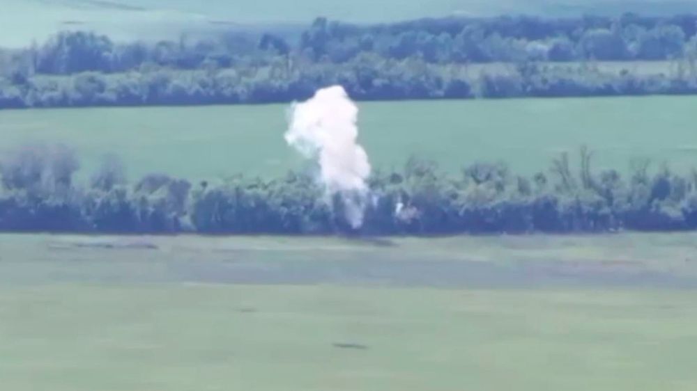 Т-72 ВСУ не смог укрыться от «Ланцета» в лесополосе у Зеленого Поля