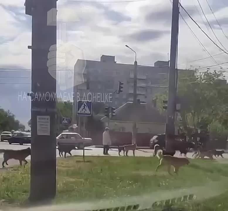 �����! ���� ����� � ���������