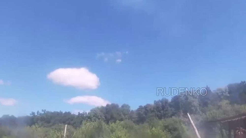 Андрей Руденко: Расчёт самоходного миномёта 2С4 «Тюльпан» уничтожил замаскированный пункт управления ВСУ в Богатыре на Южно-Донецком направлении