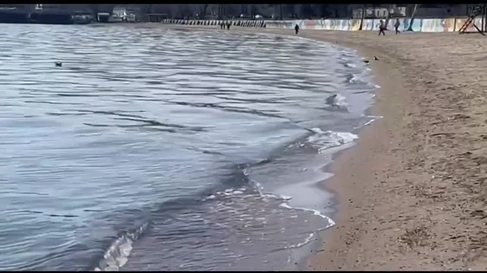 ПРЕМЬЕРА "Мариупольское море" — песня, рождённая среди шрамов войны и надежды