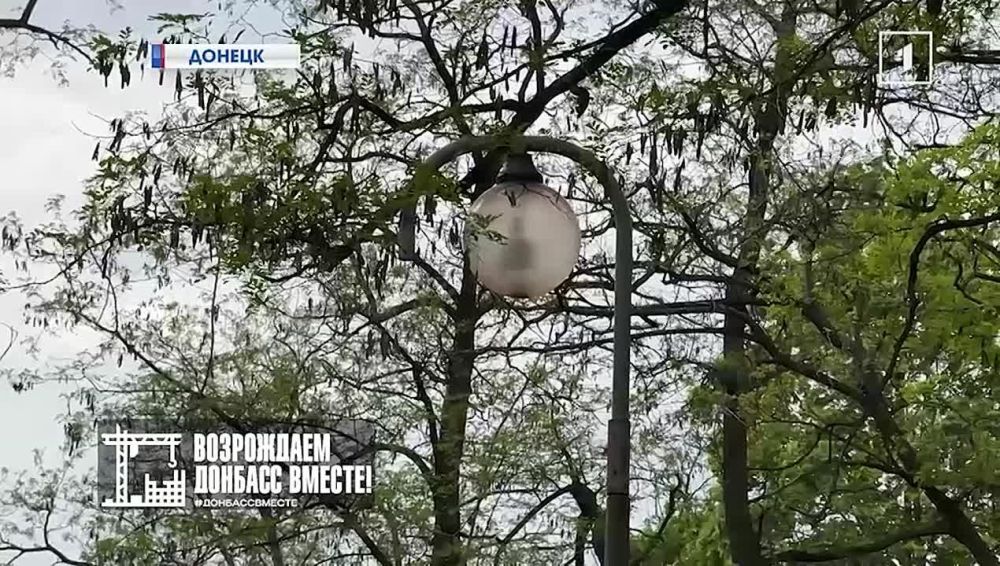 Будущее донецкого сквера «Горняк» в программе «Формирование комфортной городской среды»