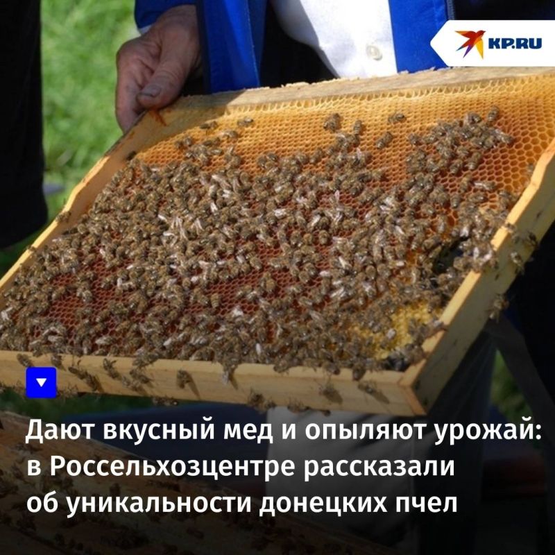 �������� ���� ���������� �� ��� � ������ �������, ���� �� ���� ������� �� � ������� ������