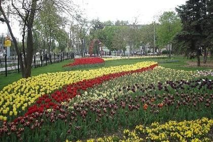 Пушилин: У нас появилось больше возможностей для благоустройства территорий