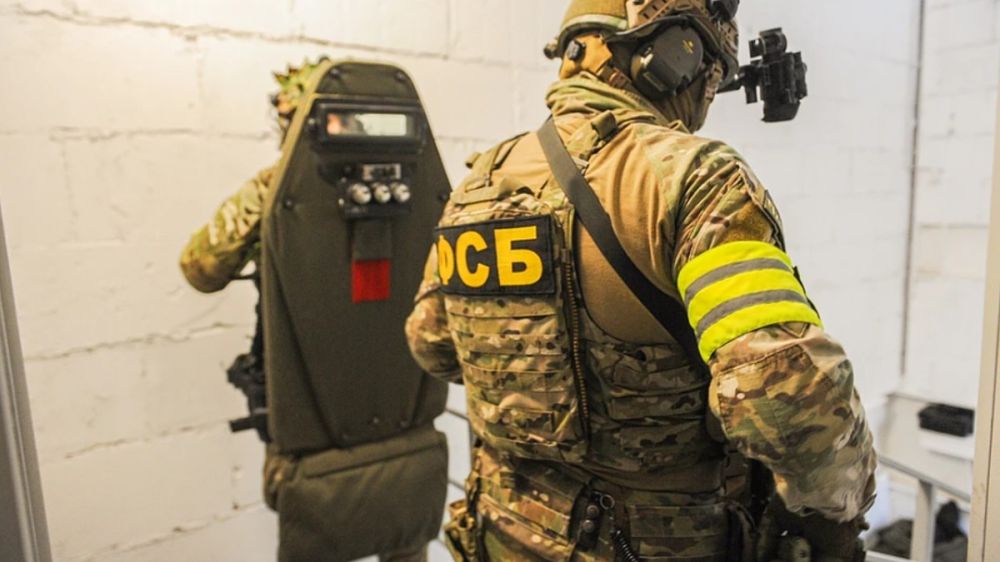 ФСБ: жительницу ДНР задержали за финансирование ВСУ