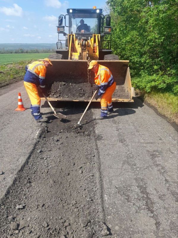 #свод_за_сутки #весенне_летнее_содержание