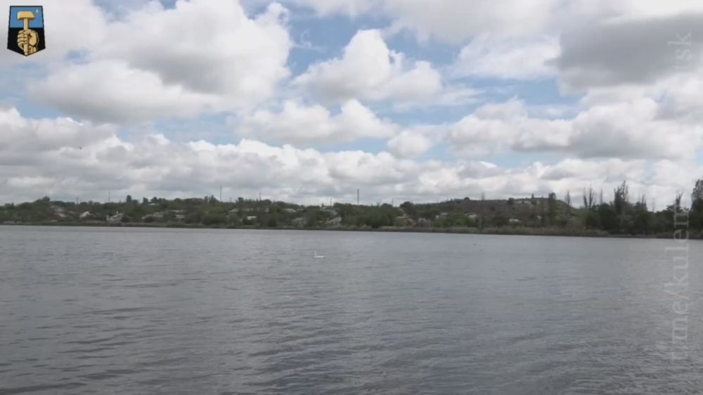 Белоснежные лебеди – символ любви и надежды вопреки всему